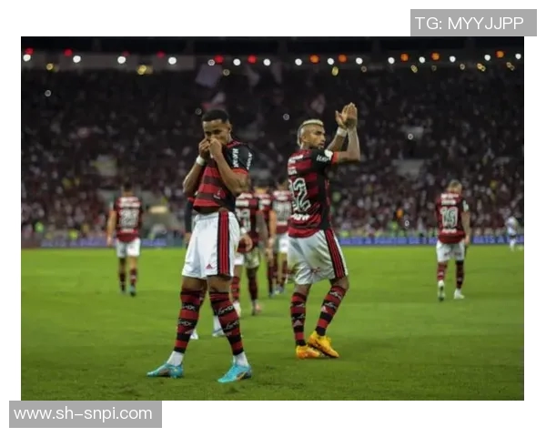 圣保罗与弗拉门戈对决前瞻及比赛结果预测分析