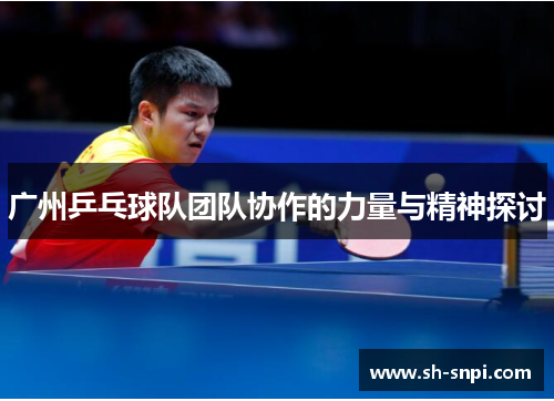 广州乒乓球队团队协作的力量与精神探讨