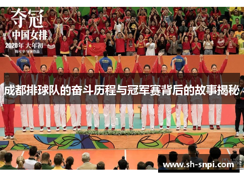 成都排球队的奋斗历程与冠军赛背后的故事揭秘