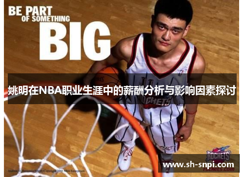 姚明在NBA职业生涯中的薪酬分析与影响因素探讨
