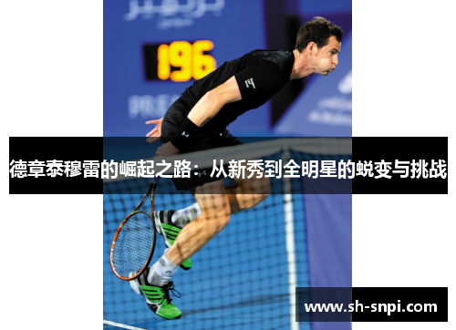 德章泰穆雷的崛起之路：从新秀到全明星的蜕变与挑战